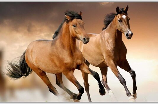 Simbologia do cavalo