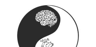 Como saber se a pessoa é yin ou yang?
