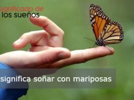 🥇 O que significa sonhar com Borboletas?