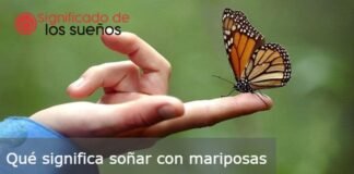 🥇 O que significa sonhar com Borboletas?