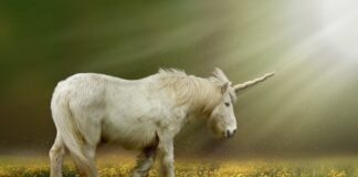 Significado de Unicórnio: O que é, Conceito e Definição atraves de um conto