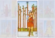 Qual o significado da carata 9 de Paus no Tarot ?
