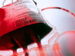 O que significa sonhar com sangue?
