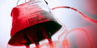 O que significa sonhar com sangue?