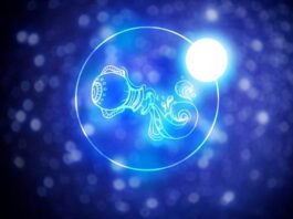 Signo de Aquário Características e Combinações