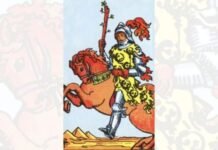 O que significa o Cavaleiro de Paus no tarot ?