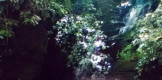 Curandeira, uma mulher sagrada!