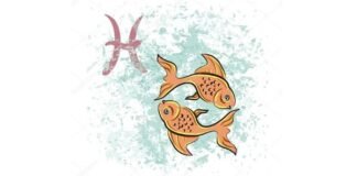 Signo de Peixes – Quais são os signos compatíveis com ele ?