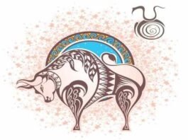 Touro o signo da confiança e sensualidade.