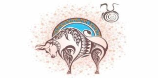 Touro o signo da confiança e sensualidade.