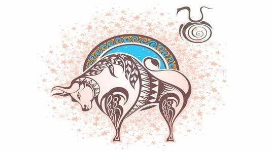 Touro o signo da confiança e sensualidade.
